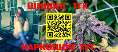 гидра Будённовск