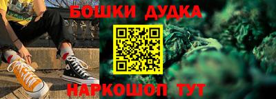 гидра Будённовск